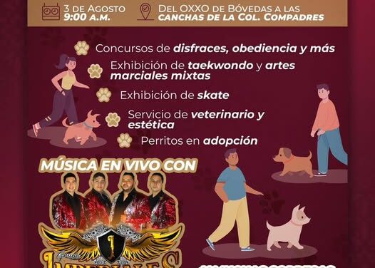 Invitan aparticipar en la caminata «Huellas en Movimiento»