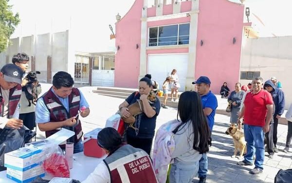 Más de mil vacunas se aplicaron en el primer día de la campaña de vacunación antirrábica en #TepejiDelRío.