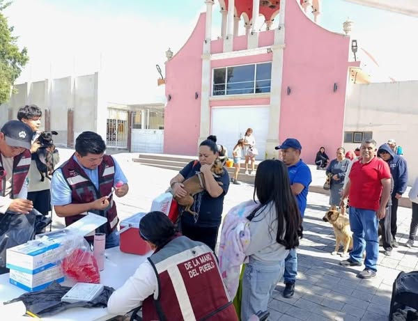 Más de mil vacunas se aplicaron en el primer día de la campaña de vacunación antirrábica en #TepejiDelRío.
