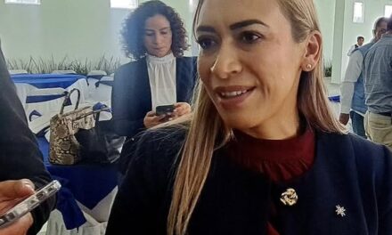 Realizarán encuesta para determinar si se instalan o no parquímetros en Tepeji