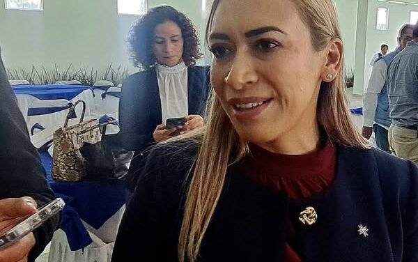 Realizarán encuesta para determinar si se instalan o no parquímetros en Tepeji