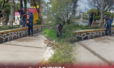 𝗦𝗲𝗿𝘃𝗶𝗰𝗶𝗼𝘀 𝗣𝘂́𝗯𝗹𝗶𝗰𝗼𝘀 llevó a cabo trabajos de 𝗽𝗼𝗱𝗮 𝘆 𝗹𝗶𝗺𝗽𝗶𝗲𝘇𝗮 𝗲𝗻 𝗹𝗮 𝗰𝗼𝗺𝘂𝗻𝗶𝗱𝗮𝗱 𝗱𝗲 𝗧𝗲𝘅𝗮𝘀