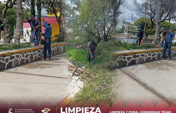 𝗦𝗲𝗿𝘃𝗶𝗰𝗶𝗼𝘀 𝗣𝘂́𝗯𝗹𝗶𝗰𝗼𝘀 llevó a cabo trabajos de 𝗽𝗼𝗱𝗮 𝘆 𝗹𝗶𝗺𝗽𝗶𝗲𝘇𝗮 𝗲𝗻 𝗹𝗮 𝗰𝗼𝗺𝘂𝗻𝗶𝗱𝗮𝗱 𝗱𝗲 𝗧𝗲𝘅𝗮𝘀