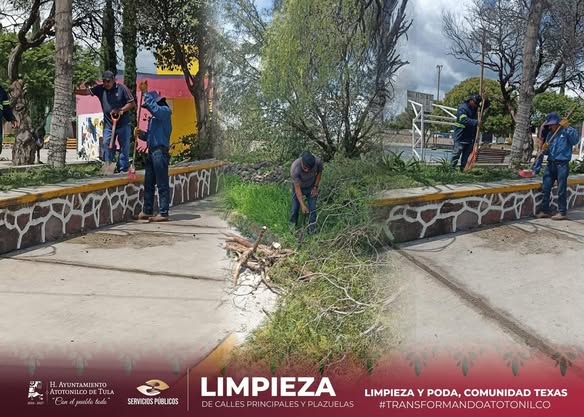 𝗦𝗲𝗿𝘃𝗶𝗰𝗶𝗼𝘀 𝗣𝘂́𝗯𝗹𝗶𝗰𝗼𝘀 llevó a cabo trabajos de 𝗽𝗼𝗱𝗮 𝘆 𝗹𝗶𝗺𝗽𝗶𝗲𝘇𝗮 𝗲𝗻 𝗹𝗮 𝗰𝗼𝗺𝘂𝗻𝗶𝗱𝗮𝗱 𝗱𝗲 𝗧𝗲𝘅𝗮𝘀