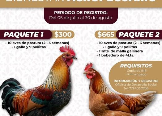 El gobierno de 𝐀𝐭𝐨𝐭𝐨𝐧𝐢𝐥𝐜𝐨 𝐝𝐞 𝐓𝐮𝐥𝐚 invita a participar en el 𝗣𝗿𝗼𝗴𝗿𝗮𝗺𝗮 𝗱𝗲 𝗔𝗽𝗼𝘆𝗼 𝗕𝗶𝗲𝗻𝗲𝘀𝘁𝗮𝗿 𝗔𝗴𝗿𝗼𝗽𝗲𝗰𝘂𝗮𝗿𝗶𝗼.