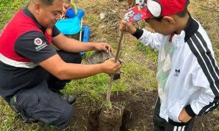 Realizan trabajos de reforestación en las colonias Arboledas y Jalpa