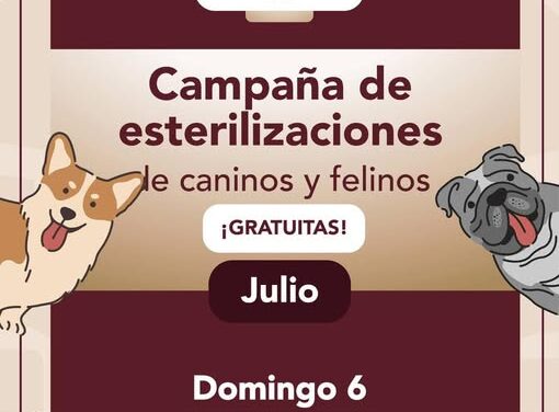 MAÑANA HABRÁ CAMPAÑA DE ESTERILIZACIONES DE CANINOS Y FELINOS
