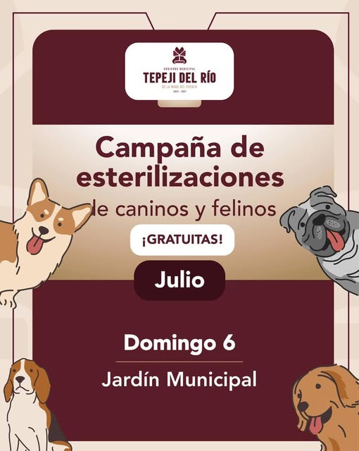 MAÑANA HABRÁ CAMPAÑA DE ESTERILIZACIONES DE CANINOS Y FELINOS