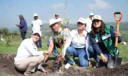 Realizan jornada de reforestación en Tepeji del Río