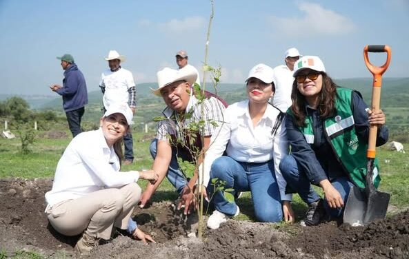 Realizan jornada de reforestación en Tepeji del Río
