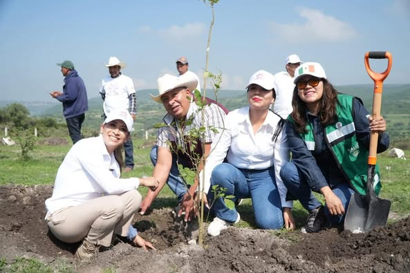 Realizan jornada de reforestación en Tepeji del Río