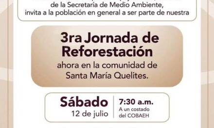 Realizarán Jornada de Reforestación en Santa María Quelites