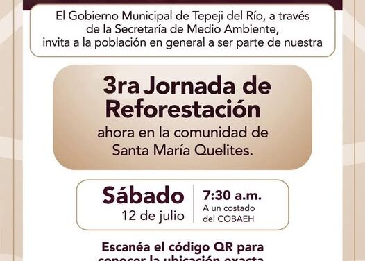 Realizarán Jornada de Reforestación en Santa María Quelites
