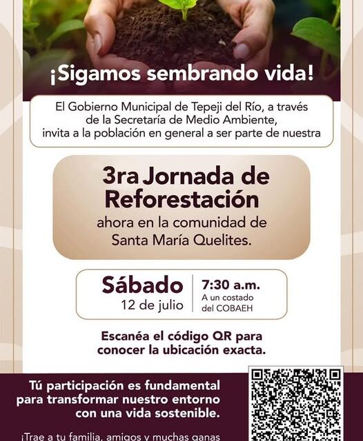Realizarán Jornada de Reforestación en Santa María Quelites