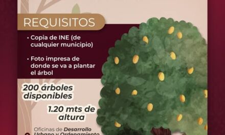 Continúa la donación de árboles frutales en Atotonilco de Tula