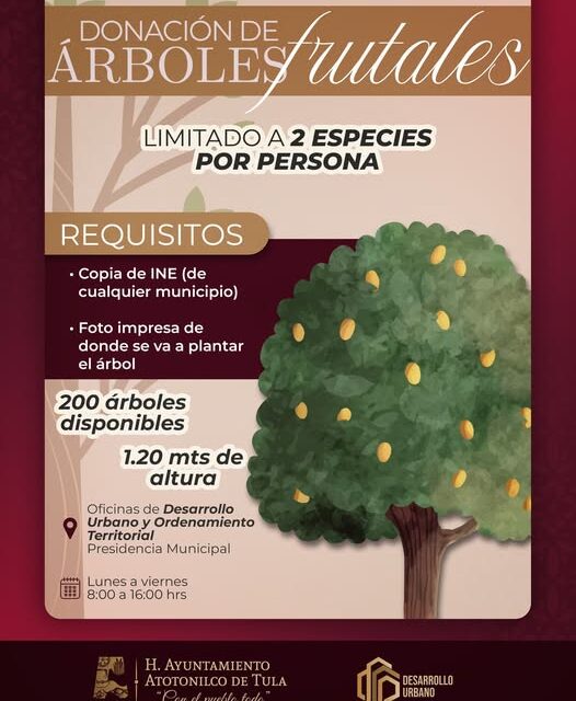Continúa la donación de árboles frutales en Atotonilco de Tula