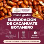 Aprende a elaborar cacahuate botanero en Tula de Allende