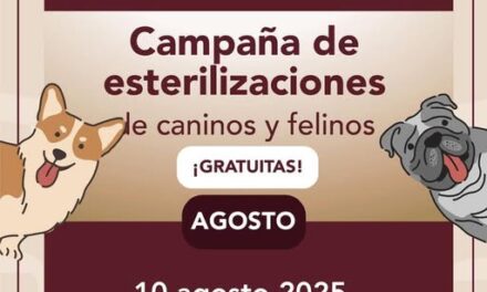 Este domingo habrá Campaña #GRATUITA de esterilización canina y felina y vacunación antirrábica en Tepeji