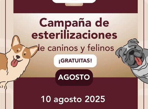 Este domingo habrá Campaña #GRATUITA de esterilización canina y felina y vacunación antirrábica en Tepeji