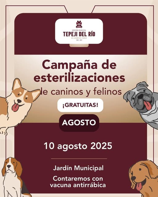 Este domingo habrá Campaña #GRATUITA de esterilización canina y felina y vacunación antirrábica en Tepeji