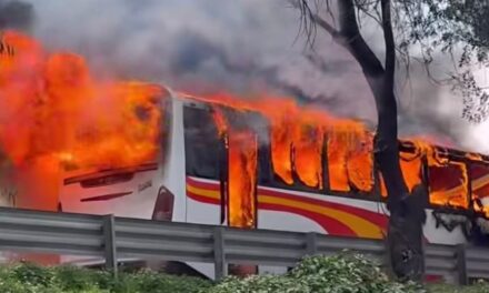 Motociclista pierde la vida en accidente carretero