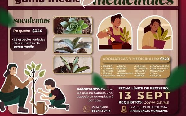 Abren inscripciones para Suculentas, Aromáticas y Medicinales