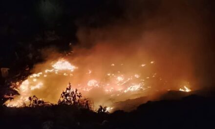 Atienden reporte de incendio en Tula de Allende