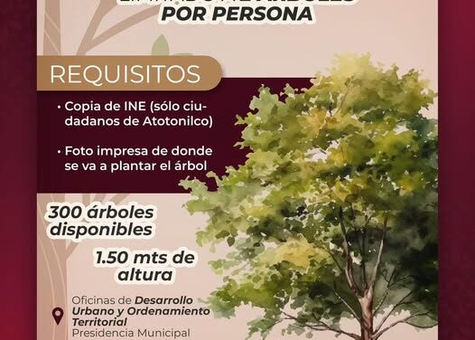 𝐃𝐨𝐧𝐚𝐜𝐢𝐨́𝐧 𝐝𝐞 𝐀́𝐫𝐛𝐨𝐥𝐞𝐬 𝐅𝐫𝐞𝐬𝐧𝐨 en Atotonilco de Tula