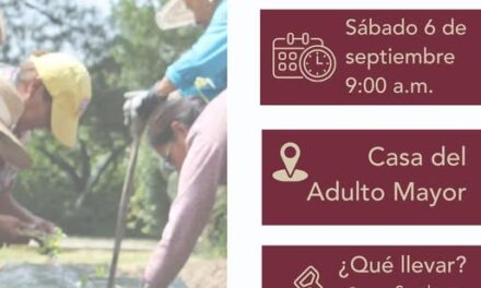 Participa en la Jornada de Plantación en la Casa del Adulto Mayor de Tepeji