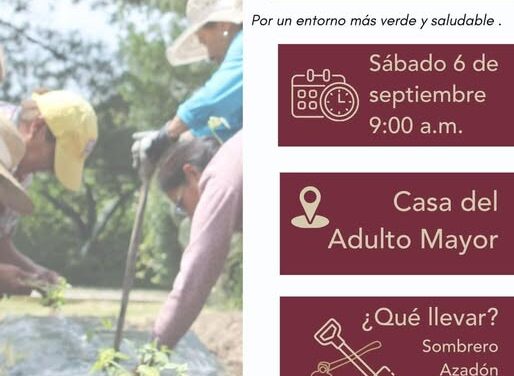 Participa en la Jornada de Plantación en la Casa del Adulto Mayor de Tepeji