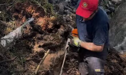 Realizan labores de limpieza y talas de riesgo tras lluvias registradas en Tepeji del Río