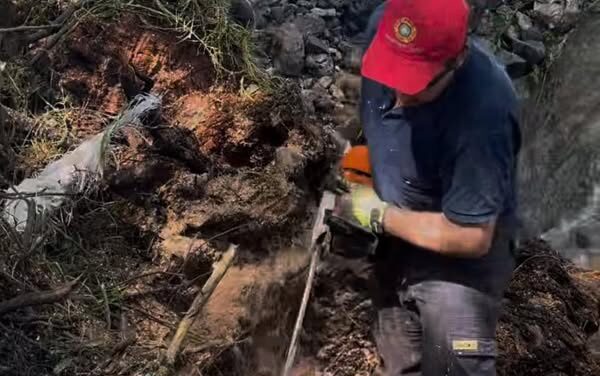 Realizan labores de limpieza y talas de riesgo tras lluvias registradas en Tepeji del Río
