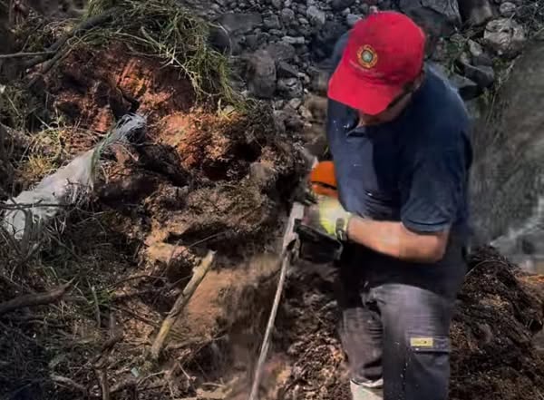 Realizan labores de limpieza y talas de riesgo tras lluvias registradas en Tepeji del Río