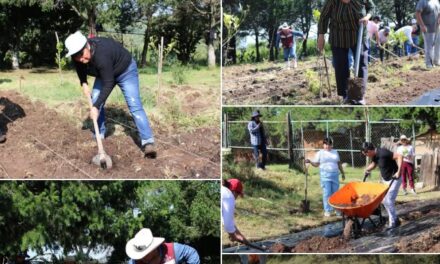 Realizan Jornada «Transformando Espacios» en la Casa del Adulto Mayor de Tepeji