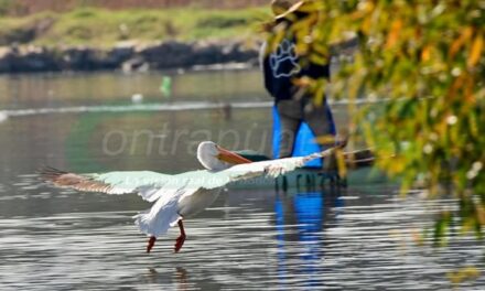 Tepeji del Río desarrolla proyectos para impulsar el turismo