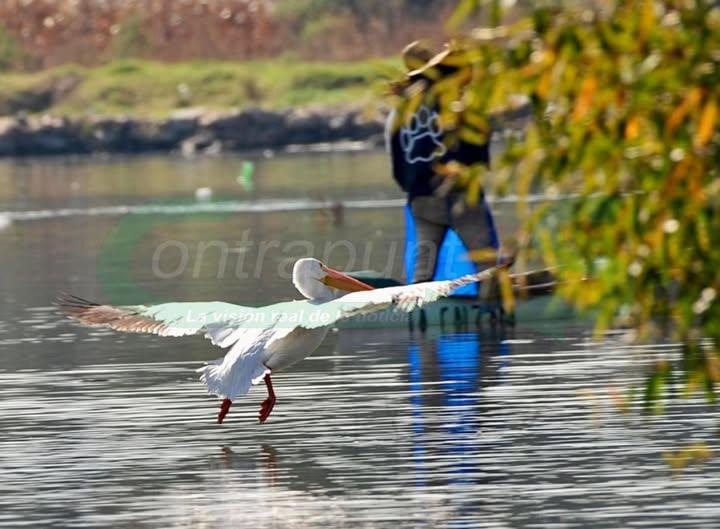 Tepeji del Río desarrolla proyectos para impulsar el turismo
