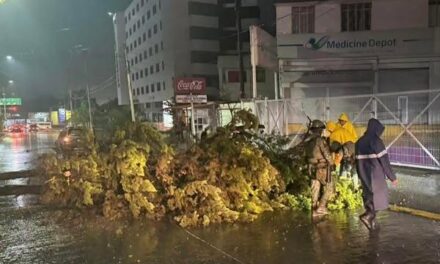 Atienden reportes de anegaciones y caídas de árboles tras lluvias registradas en Tula de Allende