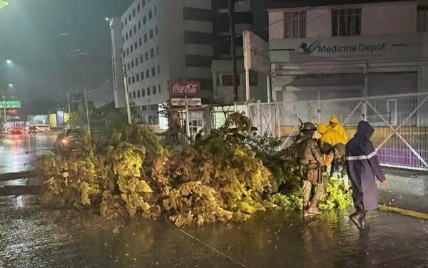 Atienden reportes de anegaciones y caídas de árboles tras lluvias registradas en Tula de Allende