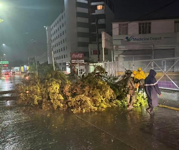 Atienden reportes de anegaciones y caídas de árboles tras lluvias registradas en Tula de Allende