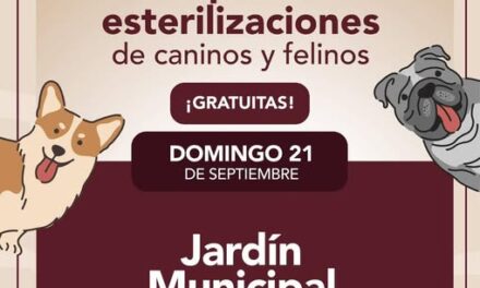 Habrá campaña gratuita de esterilización canina y felina en el jardín municipal de Tepeji del Río