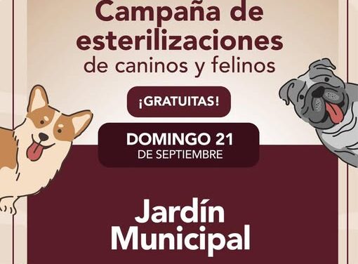 Habrá campaña gratuita de esterilización canina y felina en el jardín municipal de Tepeji del Río