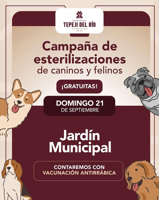 Habrá campaña gratuita de esterilización canina y felina en el jardín municipal de Tepeji del Río