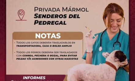 Habrá campaña de esterilización en Senderos del Pedregal