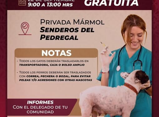 Habrá campaña de esterilización en Senderos del Pedregal