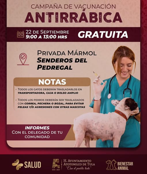 Habrá campaña de esterilización en Senderos del Pedregal