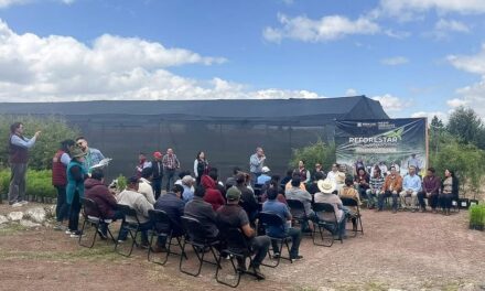 Atotonilco de Tula recibe 500 árboles del programa «Reforestar para transformar»