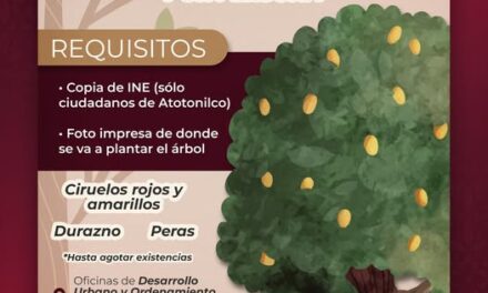 Gobierno de Atotonilco de Tula dona árboles fritales a la ciudadanía