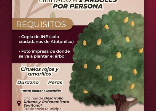 Gobierno de Atotonilco de Tula dona árboles fritales a la ciudadanía