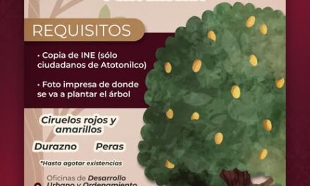 Aun estas a tiempo de obtener árboles frutales en Atotonilco de Tula