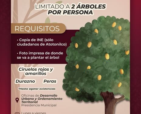 Aun estas a tiempo de obtener árboles frutales en Atotonilco de Tula